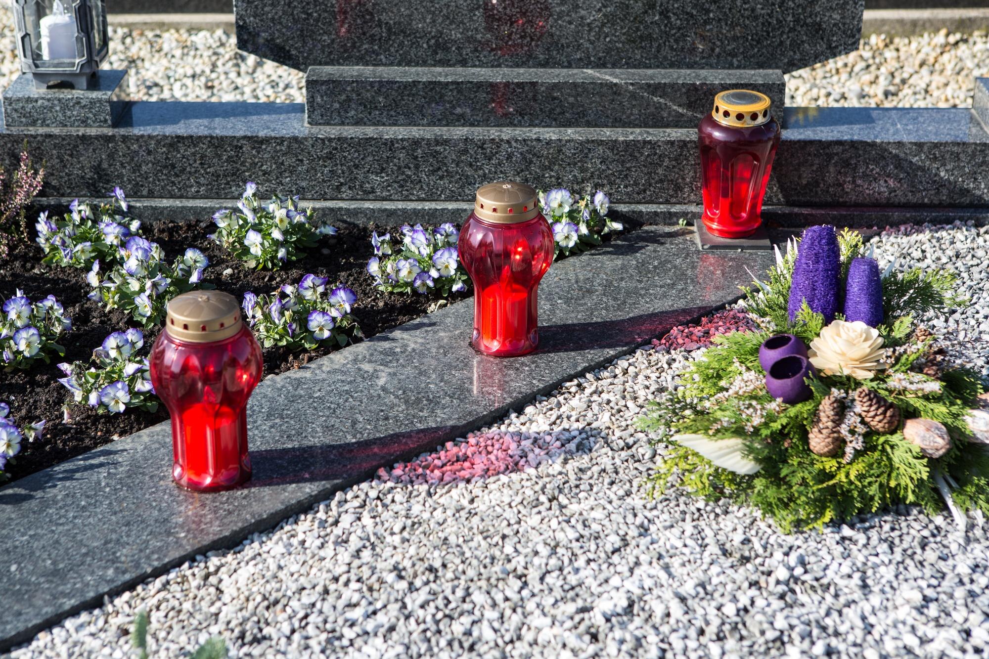 Czerwona róża w posągu