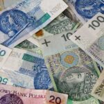 Diverse array of Polish banknotes showcasing various denominations and intricate designs.