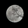 full moon